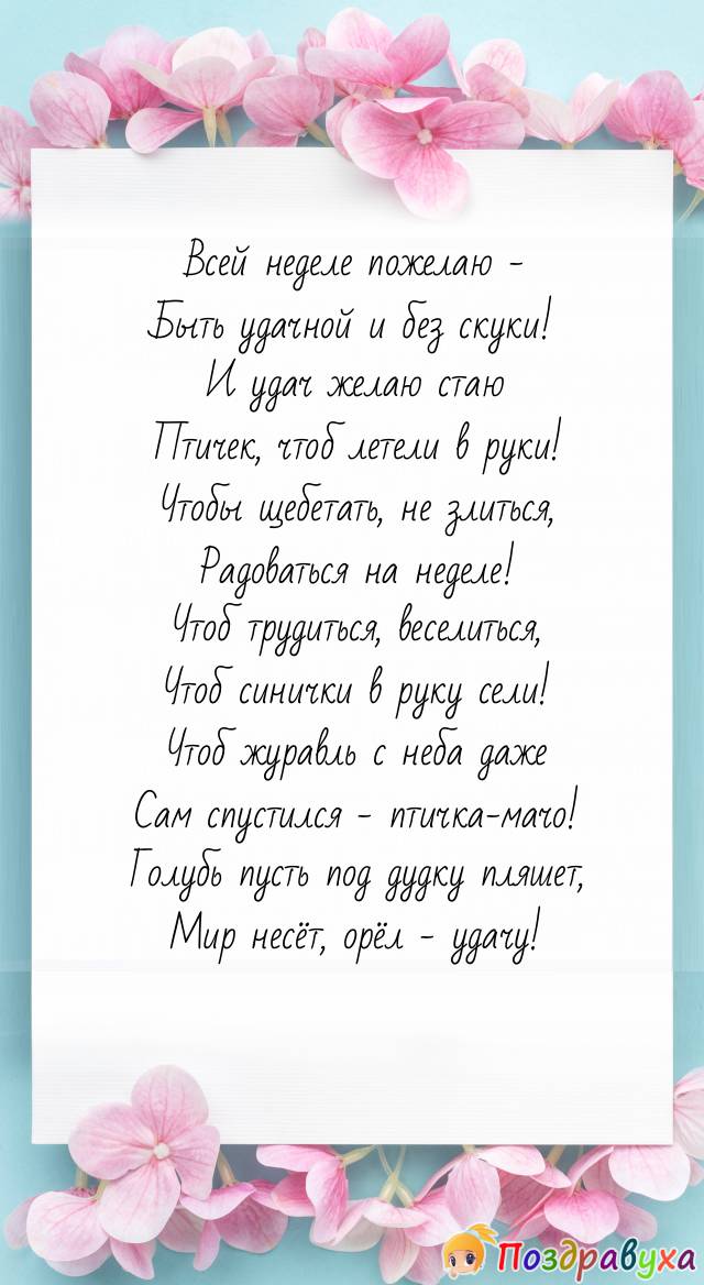 Удачной недели желаю – птичью стаю!