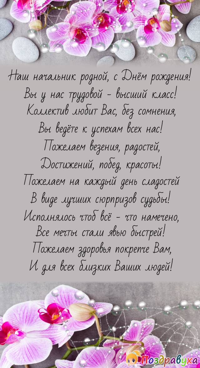 С Днём рождения, родной Начальник!