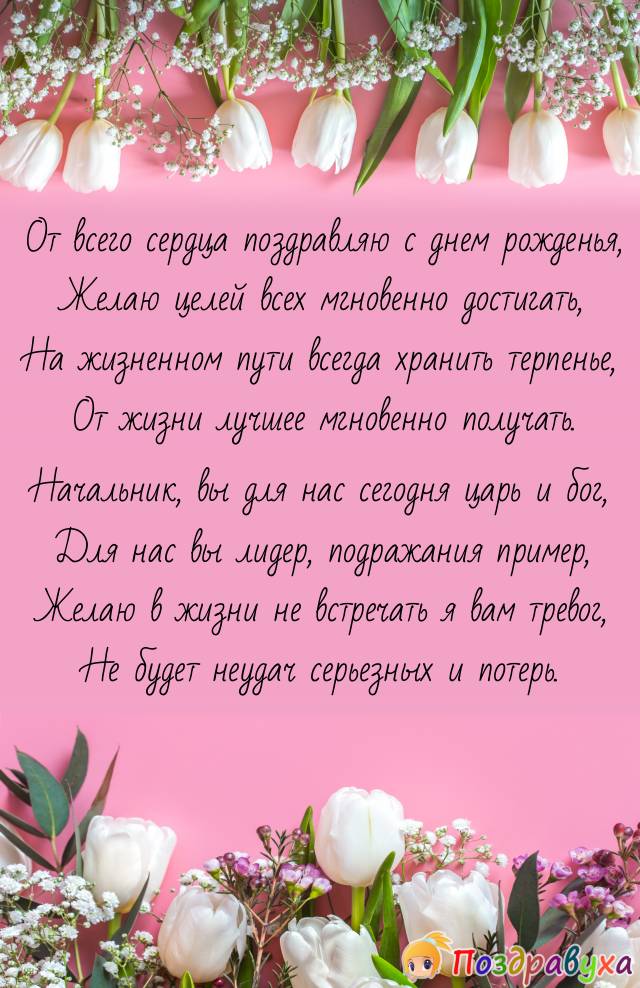 С Днем Рождения, Начальник!!!
