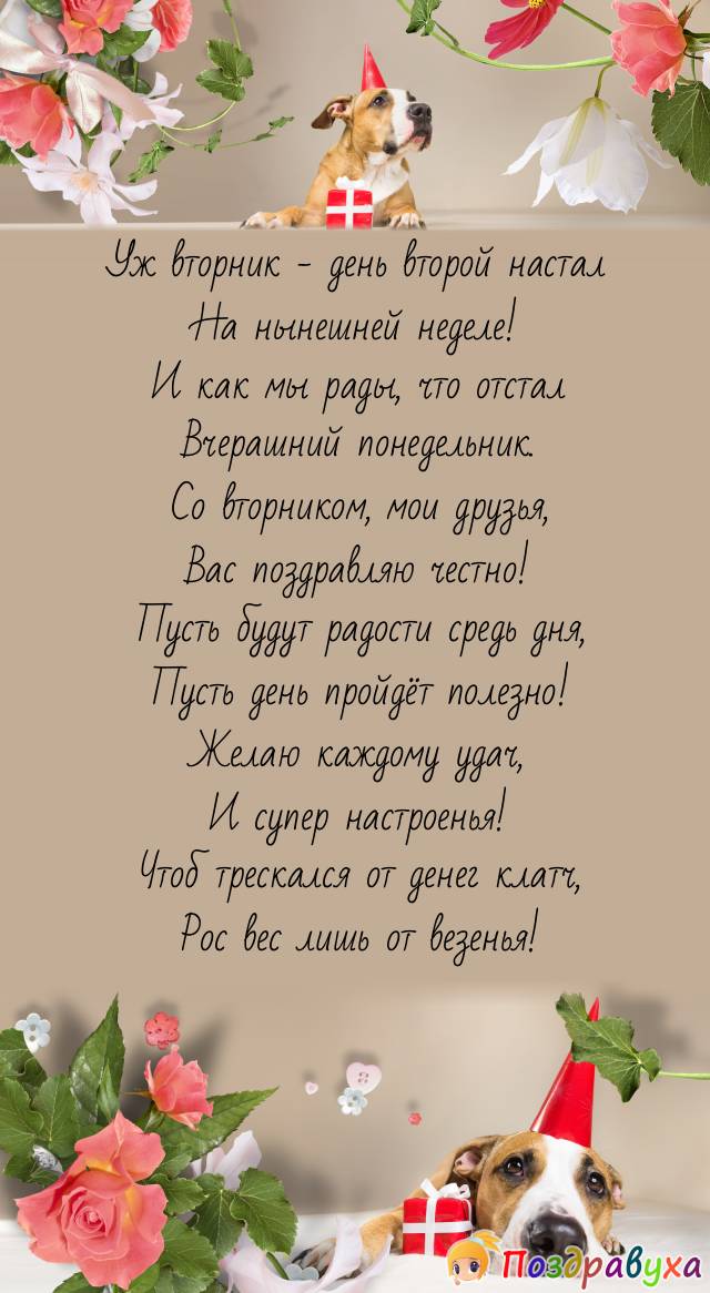 С проворным вторником, друзья!