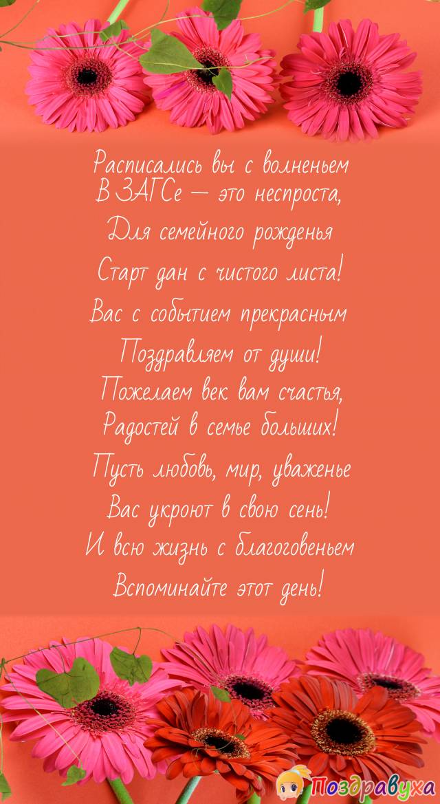 Роспись в ЗАГСе — родилась семья!