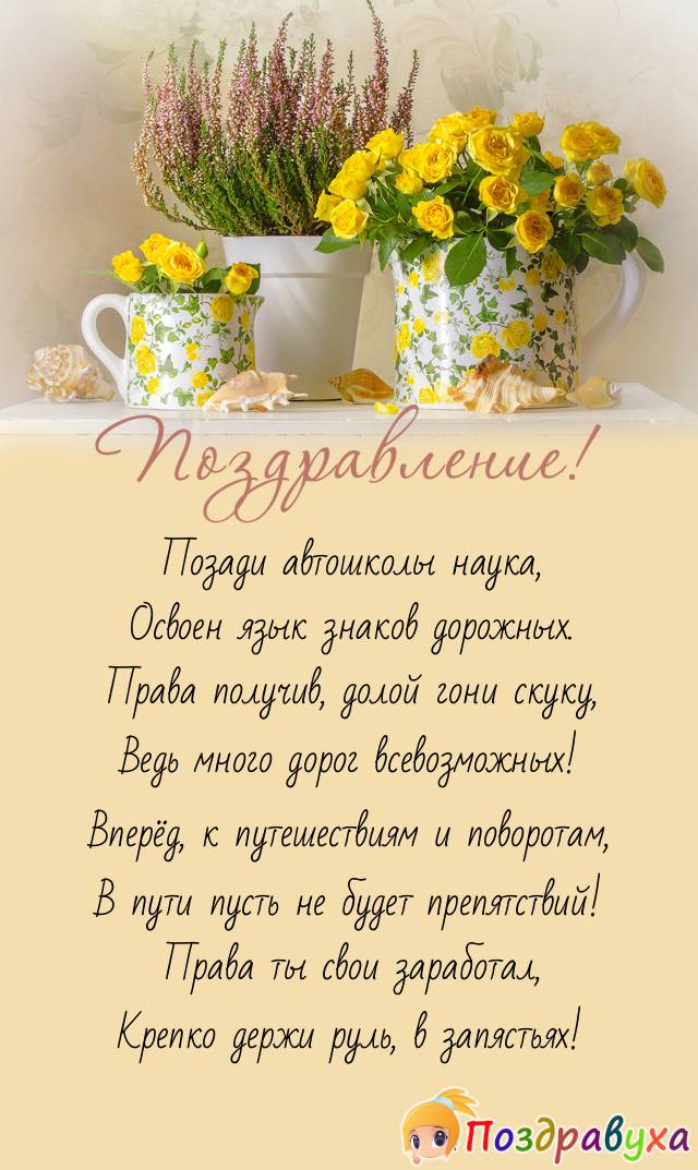 Позади автошколы наука.